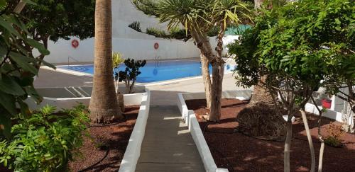 a swimming pool with palm trees and a sidewalk at Apartamento la estrella, los cristianos in Los Cristianos