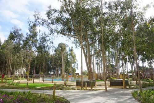 a park with a pool and trees and flowers at Hermoso y nuevo departamento en Algarrobo Norte in Algarrobo