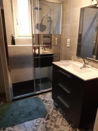 La salle de bains est pourvue d'une douche, d'un lavabo et d'un miroir. dans l'établissement maison a partager, à Troyes