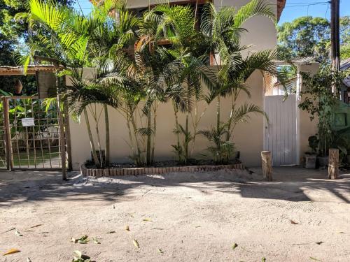 un grupo de palmeras frente a un edificio en Casa da Cristina, en Trancoso