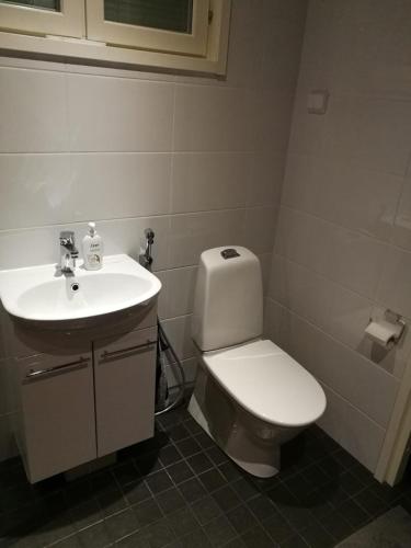 a bathroom with a white toilet and a sink at Cozy Cottage - Free WIFI and Parking in Rovaniemi