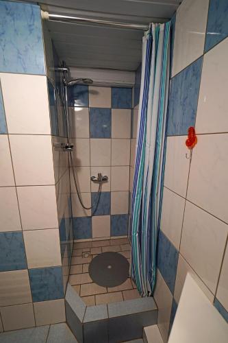a bathroom with a shower with a toilet in it at Room in Farmhouse Berkel in Bockholtz