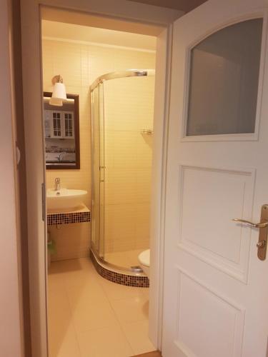 uma casa de banho com um chuveiro e um lavatório. em Dworek Pod Różą em Karwieńskie Błoto Pierwsze