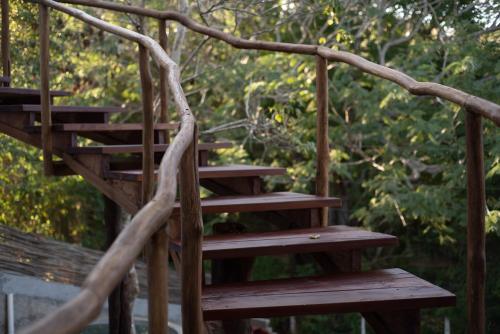 a wooden stairway with a tree branch around it at El Alquimista Yoga Spa in Zipolite