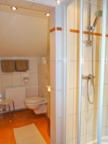 a bathroom with a toilet and a shower at Appartement Haus Seerose in Reith im Alpbachtal
