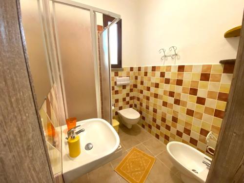 a bathroom with a shower and a sink and a toilet at Artemisia Sardegna in Tergu