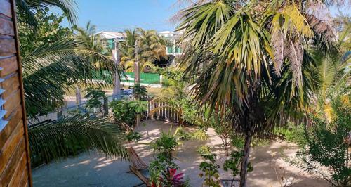 a view of a garden with palm trees at The Tranquila Caye- Gold Standard Certified in Caye Caulker