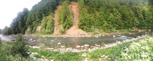 a river with rocks and trees and a mountain at Котедж Relax Yaremche in Yaremche