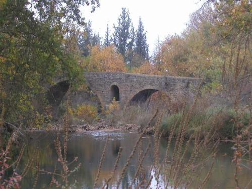 a stone bridge over a river in a forest at ΕΥμορφο σαν Παραμύθι ΤΗΛΙΑ in Áno Kalívia
