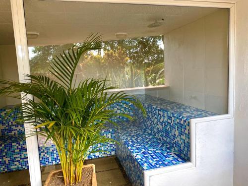 a blue and white bench in a room with a plant at Hotel Casas de Campo El Ciruelo in San Gil