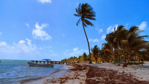 Gallery image of Las Palapas de Punta Allen in Punta Allen