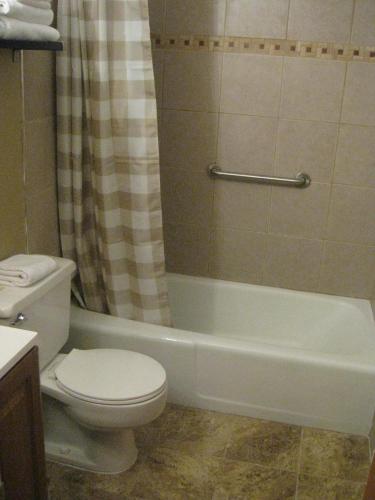 a bathroom with a toilet and a tub and a sink at Brookside Motel & Cabins in Lake George