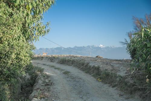 a dirt road with trees on the side of a hill at The Lapsi Tree in Nagarkot