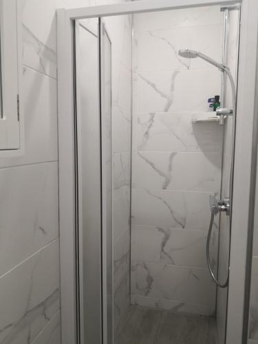 a shower with a glass door in a bathroom at Mario Studio in Vilnius