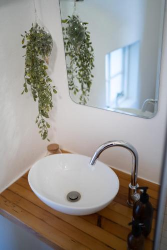 a bathroom sink with a mirror and some plants at Kogman & Keisie Guest Farm in Montagu