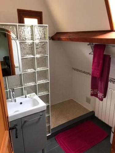 une petite salle de bain avec un lavabo et un miroir dans l'établissement Chambres Les Plantous de Severo, à Cénac-et-Saint-Julien