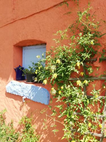 a window with some plants on the side of a building at Folwark Malinowy Chruśniak in Bisztynek