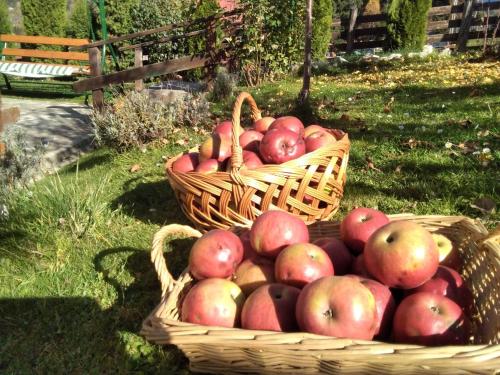 two baskets of apples sitting on the grass at Pensiunea Nordica in Statiunea Borsa