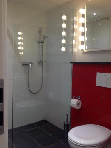 a bathroom with a shower and a toilet and a sink at Stadtmitte Ferienwohnung Waldshut in Waldshut-Tiengen