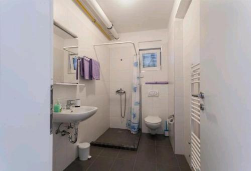 ein Bad mit einem Waschbecken und einem WC in der Unterkunft Urnebes in Zadar