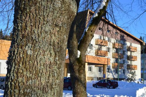 Fotografie z fotogalerie ubytování Hotel Srní depandance - Šumava v Srní