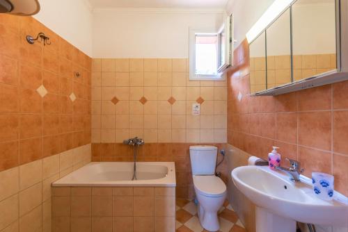 a bathroom with a sink and a toilet and a tub at Demmy's Apartment in Potamiá