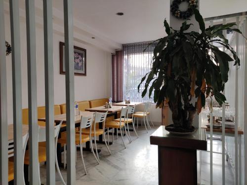 a dining room with a table and a potted plant at THE MAPLE in Siliguri