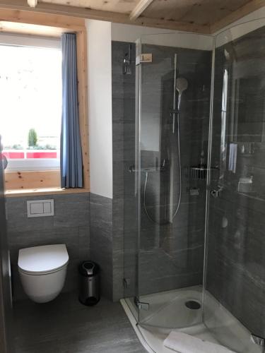 a bathroom with a shower and a toilet at Hôtel Bodenhaus in Splügen