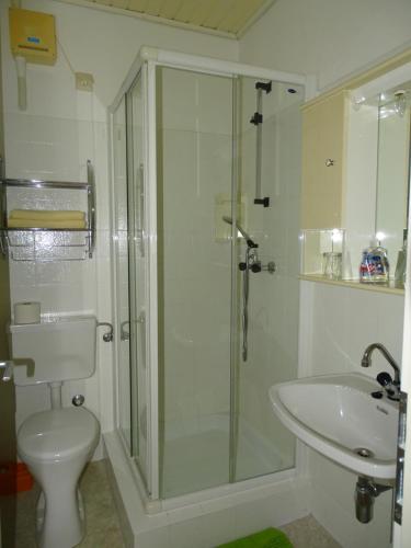 a bathroom with a shower and a toilet and a sink at Gasthof Torwirt in Lavamünd