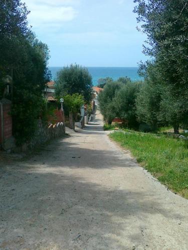 a dirt road with trees on the side of it at CASA VACANZE THALIA - PISCIOTTA/PALINURO in Pisciotta