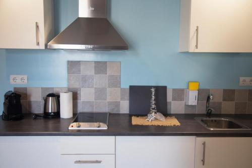 Η κουζίνα ή μικρή κουζίνα στο Apartamentos Comfort Calella