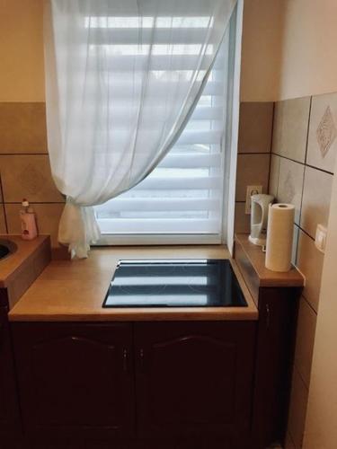 a window in a bathroom with a sink and a counter at Ferienwohnung Willi I in Spremberg