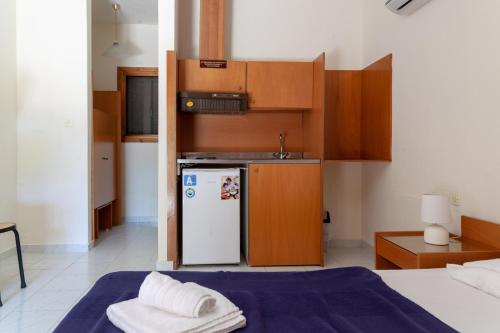 a kitchen with a refrigerator and a sink in a room at Athina Apartments in Palaiopoli