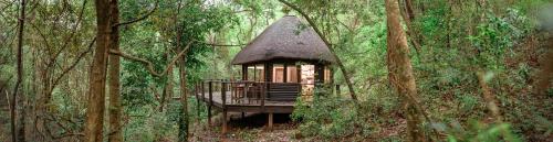 Serenity Mountain and Forest Lodgeにある庭
