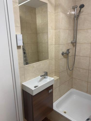 La salle de bains est pourvue d'un lavabo et d'une douche. dans l'établissement Piwnica, à Miechów