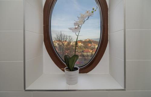 a vase with a flower in front of a mirror at Casa Moritz in Braşov