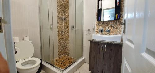 TV y baño con ducha y aseo. en Falling Waters Guest House, en Margate