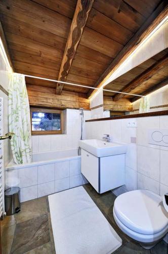 a bathroom with a toilet and a sink at Ferienhäuser Reither Almen in Reith im Alpbachtal