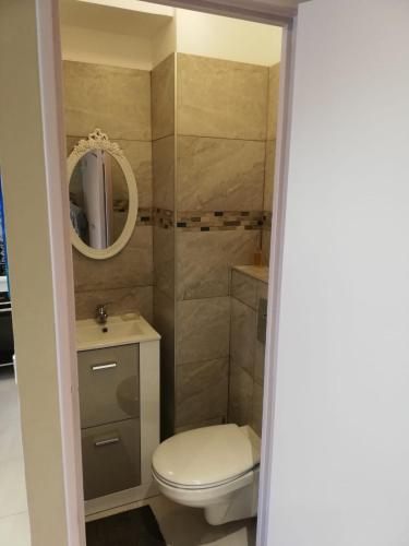 une salle de bain avec toilettes, lavabo et miroir dans l'établissement VILLENEUVE LOUBET- MARINA BAIE DES Anges -AU BON VIVRE - 2 pièces- Le Ducal - 60m2 Luxe, à Villeneuve-Loubet