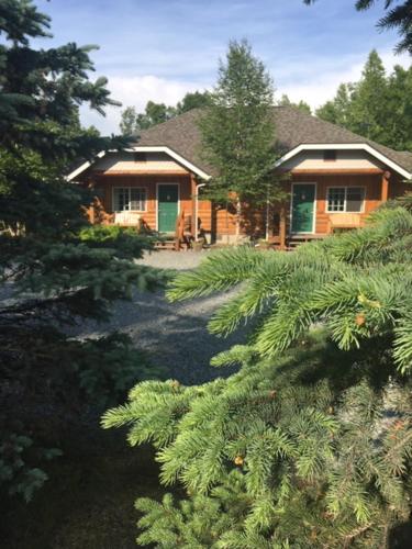 una casa con una puerta verde en un bosque en Denali Fireside Cabin & Suites, en Talkeetna