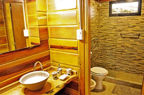 een badkamer met een wastafel en een toilet bij Complejo Apus in La Cumbrecita