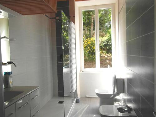 a bathroom with a toilet and a window at Chalet Bruyère in Cauterets