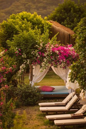 a group of chaise lounges with buchsia flowers at Lissiya Hotel in Faralya