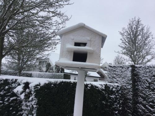 une maison ornithologique recouverte de neige dans une cour dans l'établissement B&B Colombe Blanche, à Knokke-Heist
