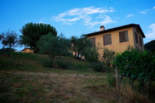 a building on a hill with trees in front of it at I Veroni - Agriturismo and Wine Cellar in Pontassieve