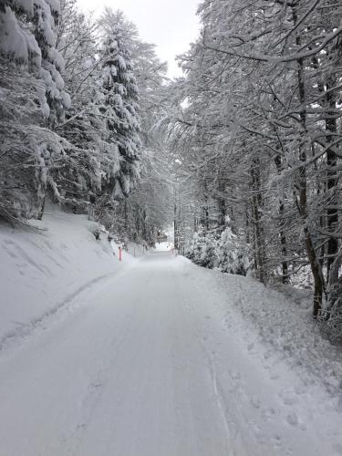 a snow covered road with trees on the side of it at Nice Apartment private host Engelberg in Engelberg