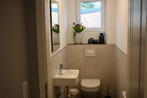a bathroom with a toilet and a sink and a window at Heykens Golfhuus Albatros in Wiesmoor