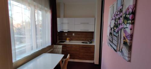 een keuken met een tafel, een wastafel en een raam bij Brasna apartment 3-Kupalisko in Nové Zámky