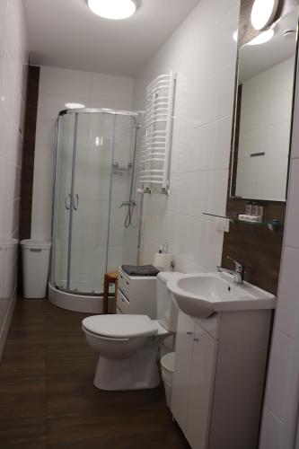 a bathroom with a toilet and a sink and a shower at Dworek pod świerkami in Jelenia Góra