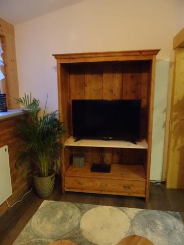 a tv on a wooden shelf in a living room at Pepi‘s Apartment in Hallstatt